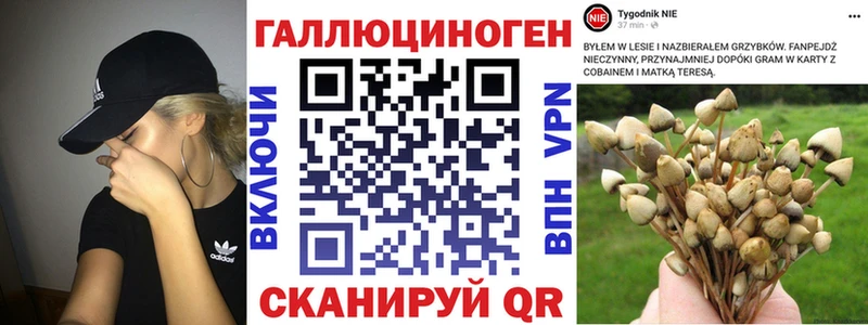 Галлюциногенные грибы Cubensis  Соликамск 